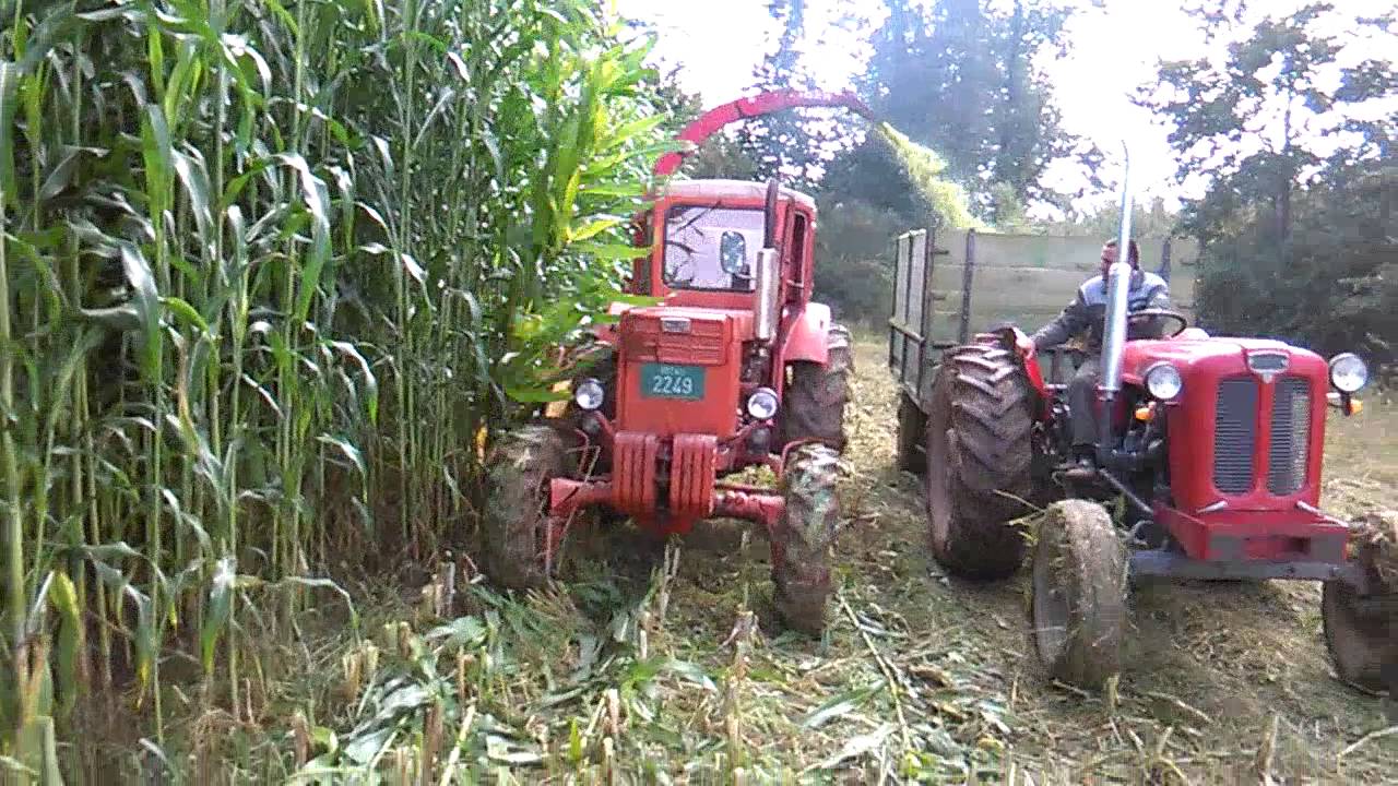 Silazni sirak KWS Buldozer 2