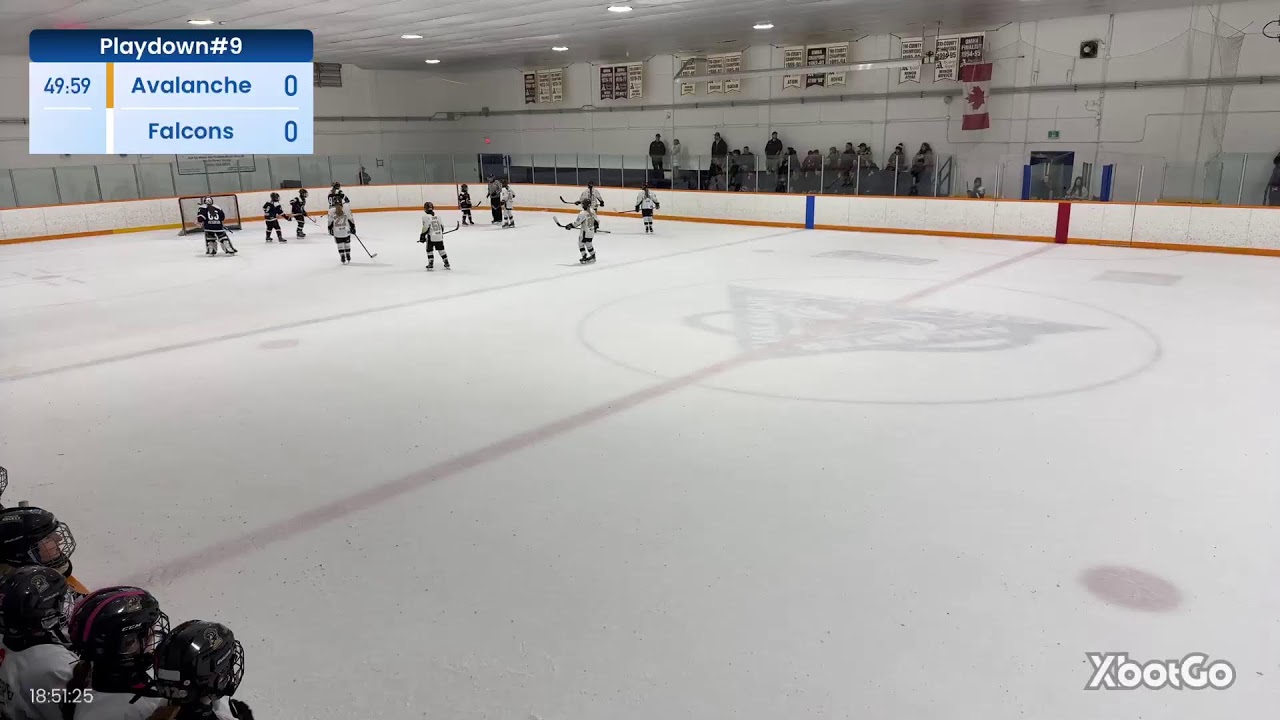 U13BBfalcons.25.26 Live Stream
