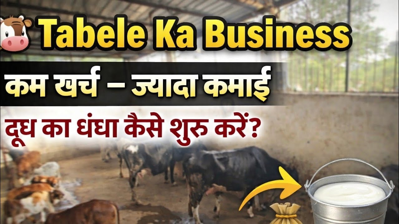 🐄 Tabele Ka Business | कम खर्च में दूध का धंधा कैसे शुरू करें? | Dairy Farming Business Plan India
