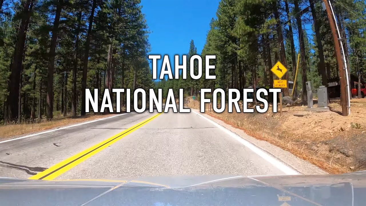 Tahoe National Forest Scenic Drive in 4K