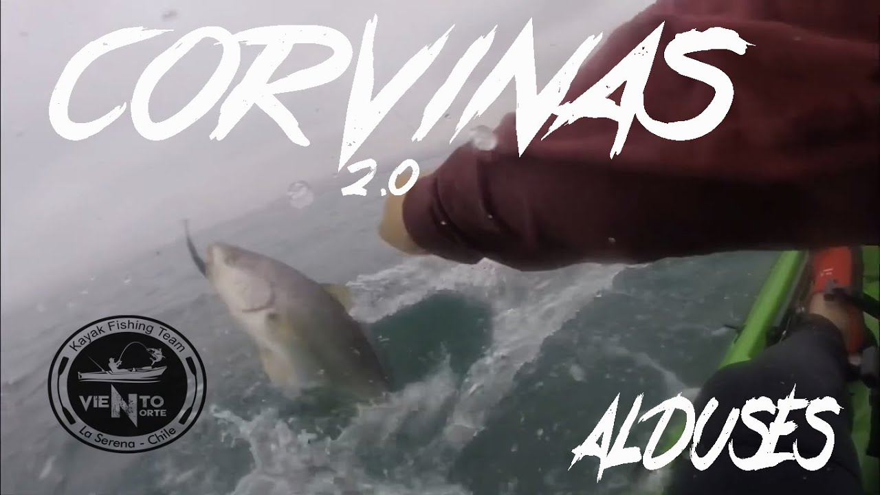 PESCA DE CORVINAS KAYAK COQUIMBO - KF VIENTO NORTE