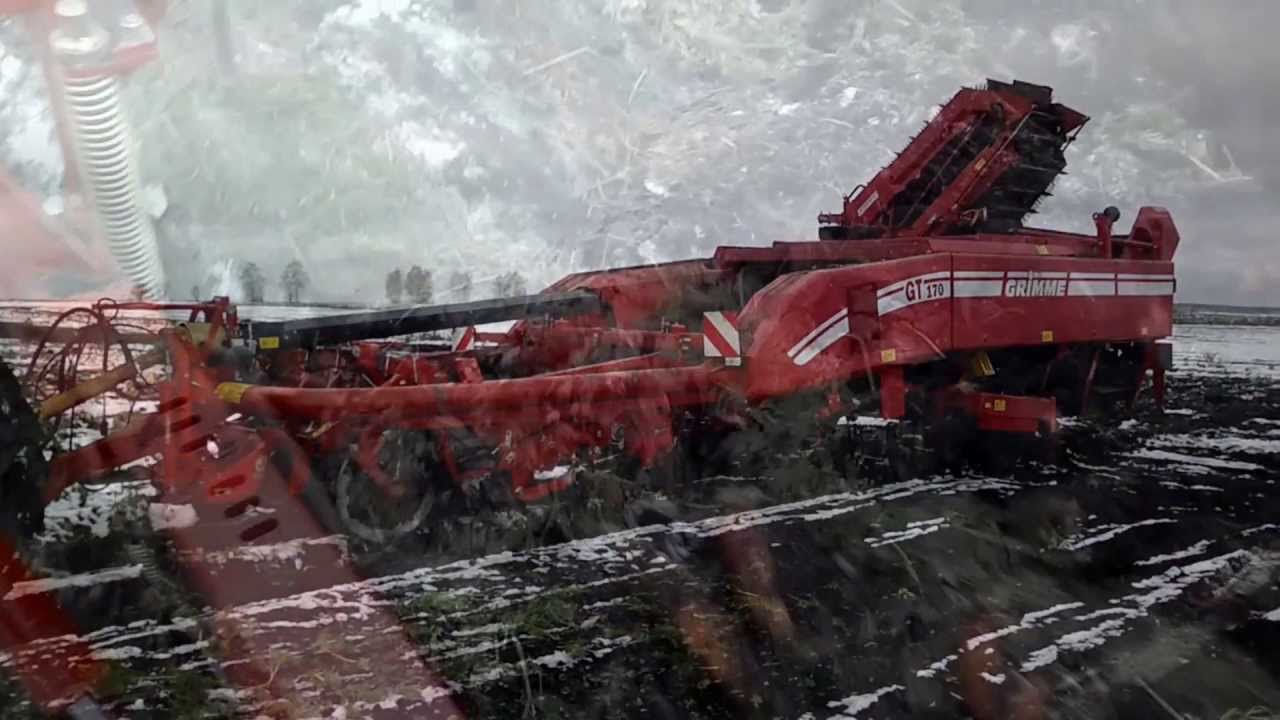 Агродирект представляет комбайн GT 170 от GRIMME -УБОРКА МОРКОВИ