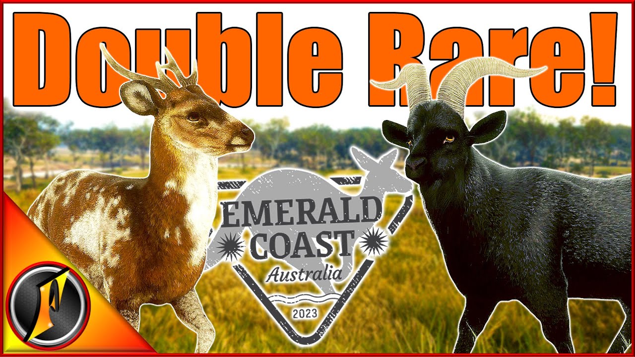 Double Rare on the Emerald Coast!!! | Piebald Hog Deer & Black Feral Goat!