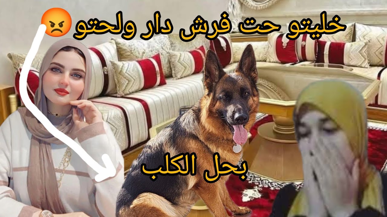 غدرني ضيعت معاه سنين في الاخير سمح فياوريتو كيد النساء على أصولو😂