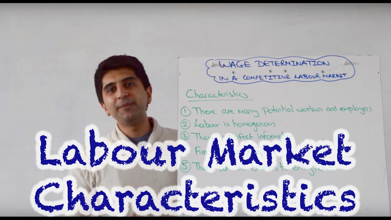 Characteristics of a Perfectly Competitive Labour Market
