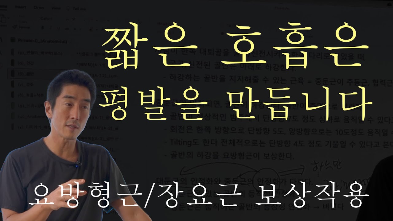 2차호흡근이 평발만듭니다
