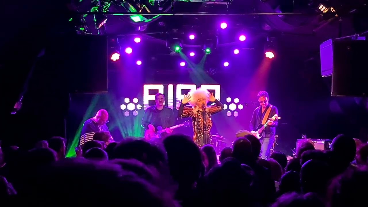 Lady Blackbird, White Rabbit (Jefferson Airplane cover), BIRD, Rotterdam
