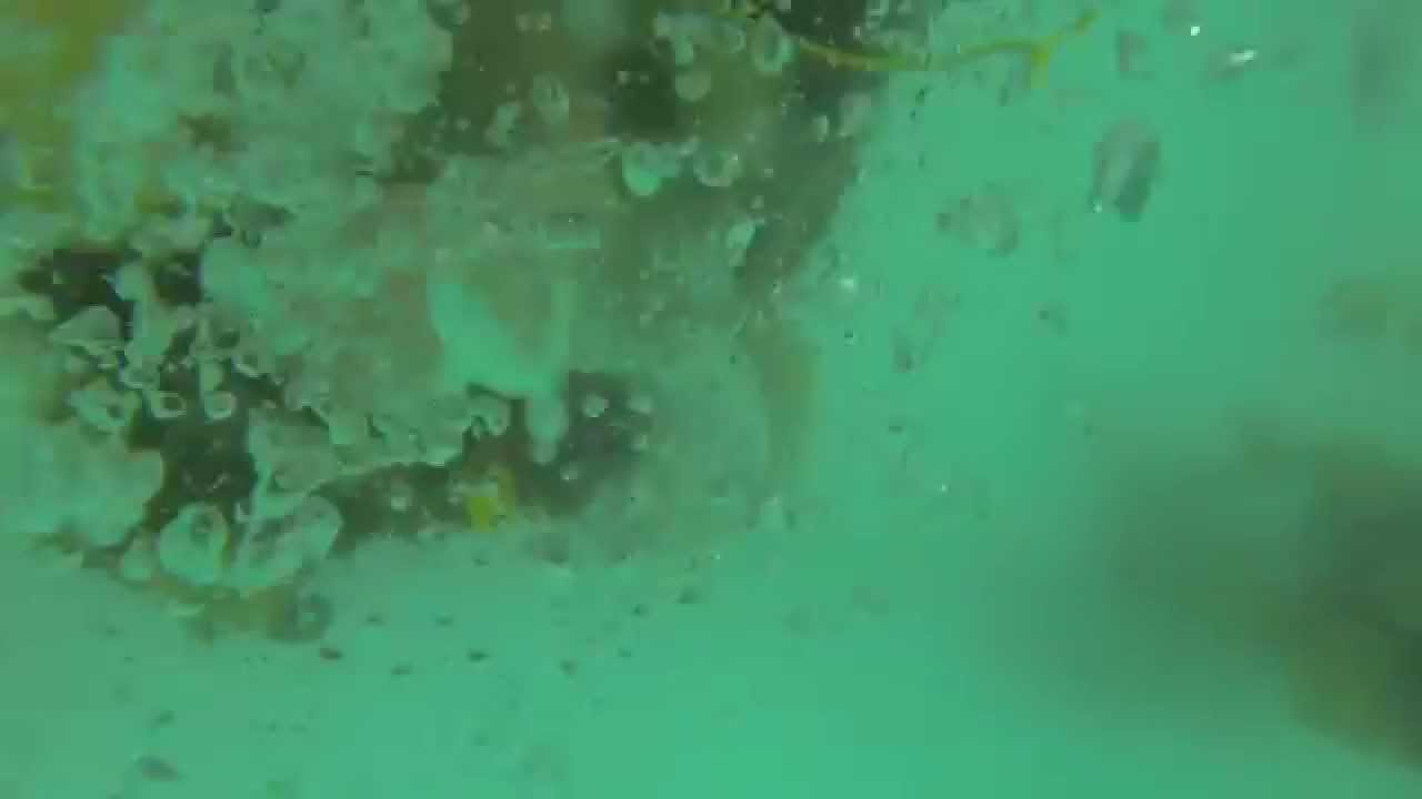 Garland Fire Department - Underwater Rescue Training
