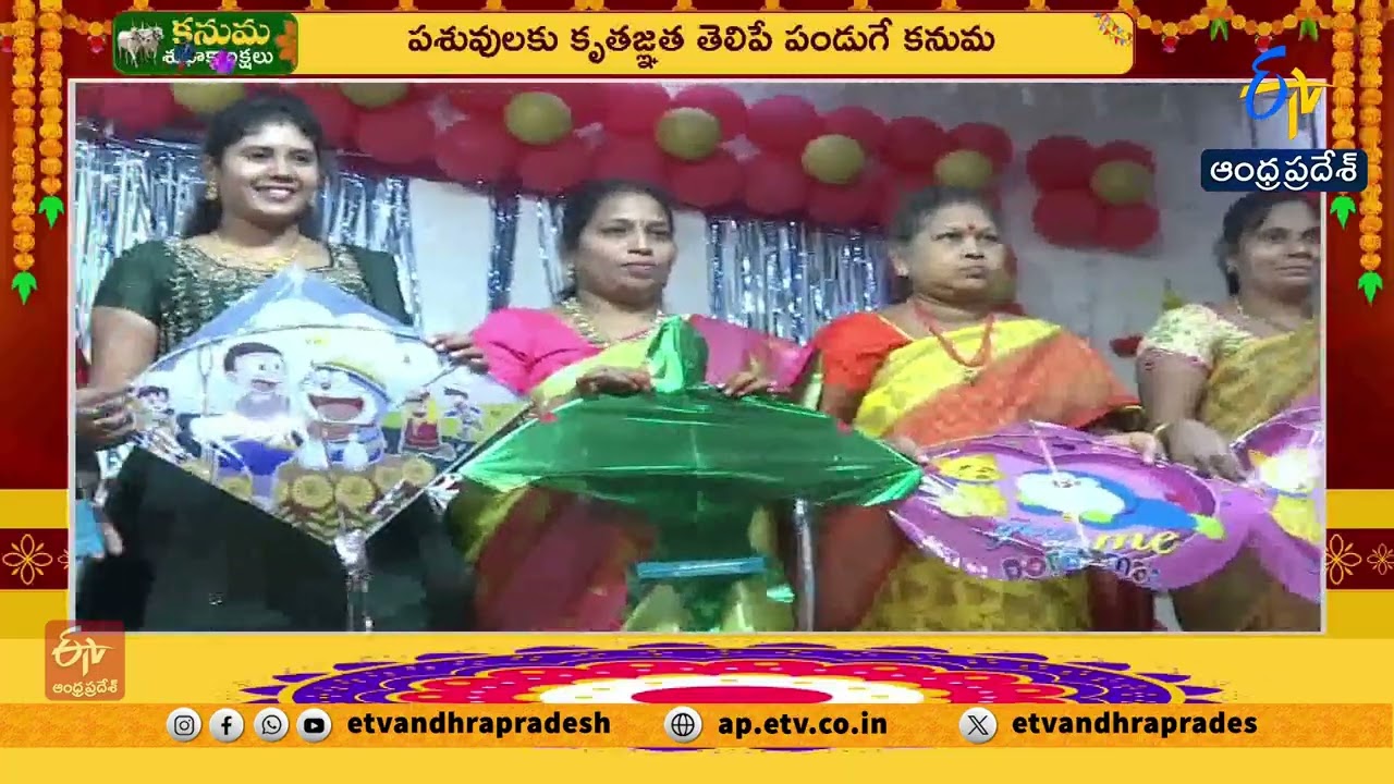 కనుమ పండుగపై కథనం | ETV Special Story on Kanuma Festival Significance