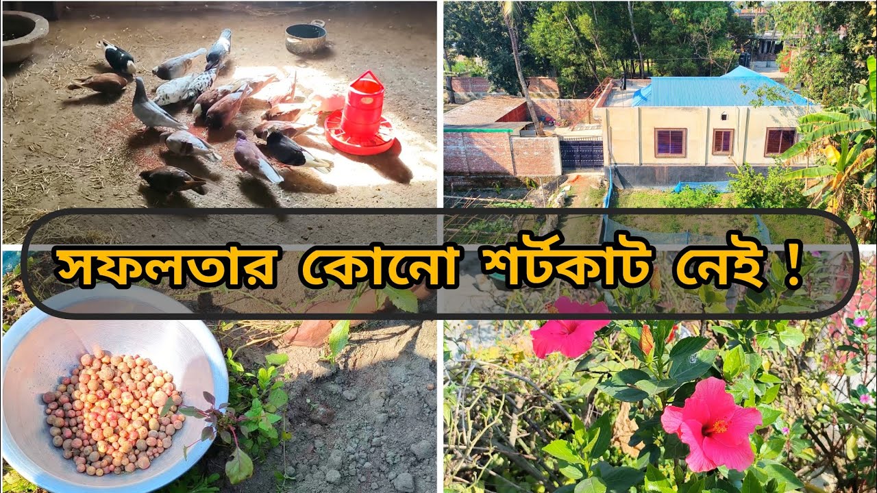 সফলতার কোনো শর্টকাট নেই,ধৈর্য আর পরিশ্রমই মূল চাবিকাঠি✅#lifestylevlog #vairalvideo 