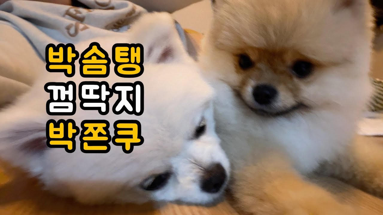 엄마보다 오빠를 더 찾는 동생