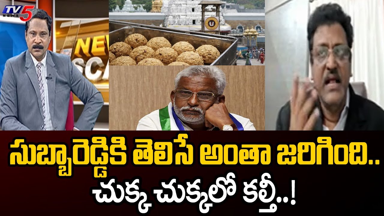 Avocate Muppalla Subba Rao Key Comments Over Tirumala Adulterated Ghee Issue | YSRCP | TV5 News