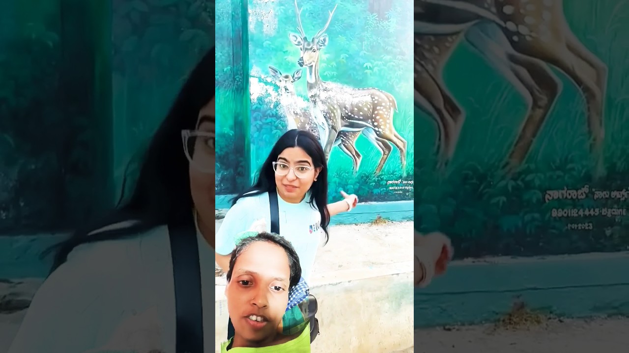 Hum chale jungle safari pe 🤩 #priyalkukreja #shorts #ytshorts