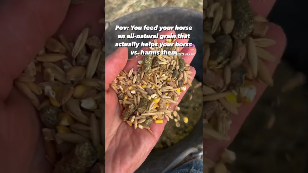 You Feed Your Horse An All-Natural Grain That Acutally Helps Them vs. Harms Them