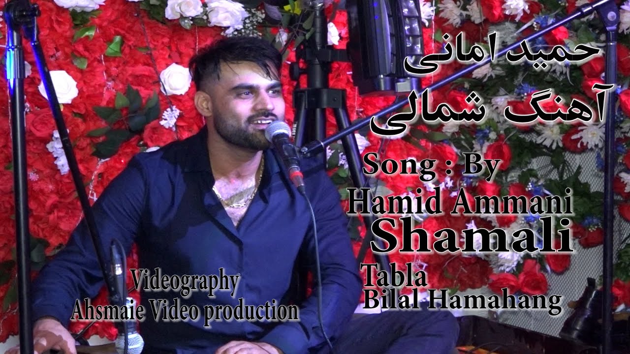 Hamid Amani Shamali 2024 Live in Toronto_ حمید امانی آهنگ شمالی