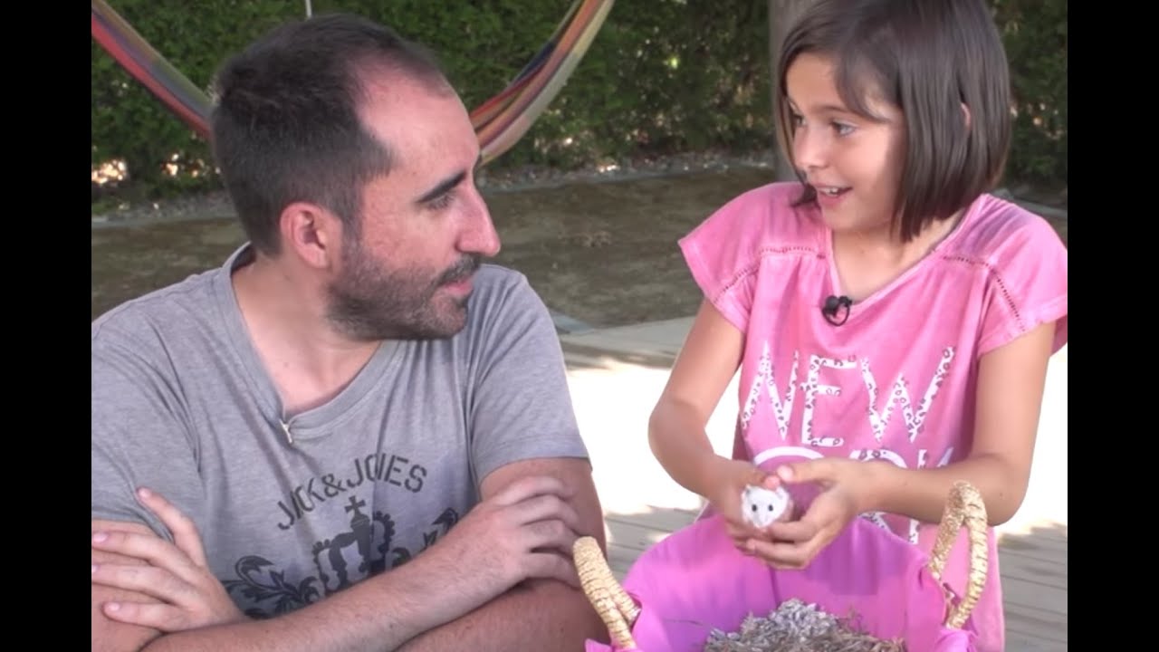 HÁMSTERS - El hámster como mascota para niños. El hámster de Ariadna.