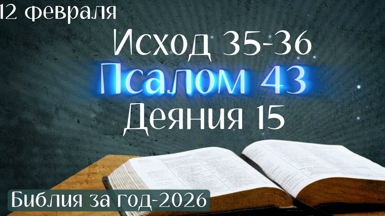 12 февраля. Марафон 
