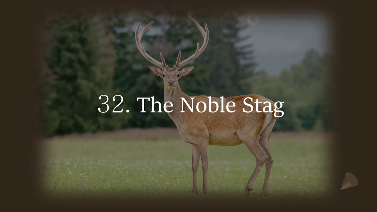 32  The Noble Stag | Std 3 | English