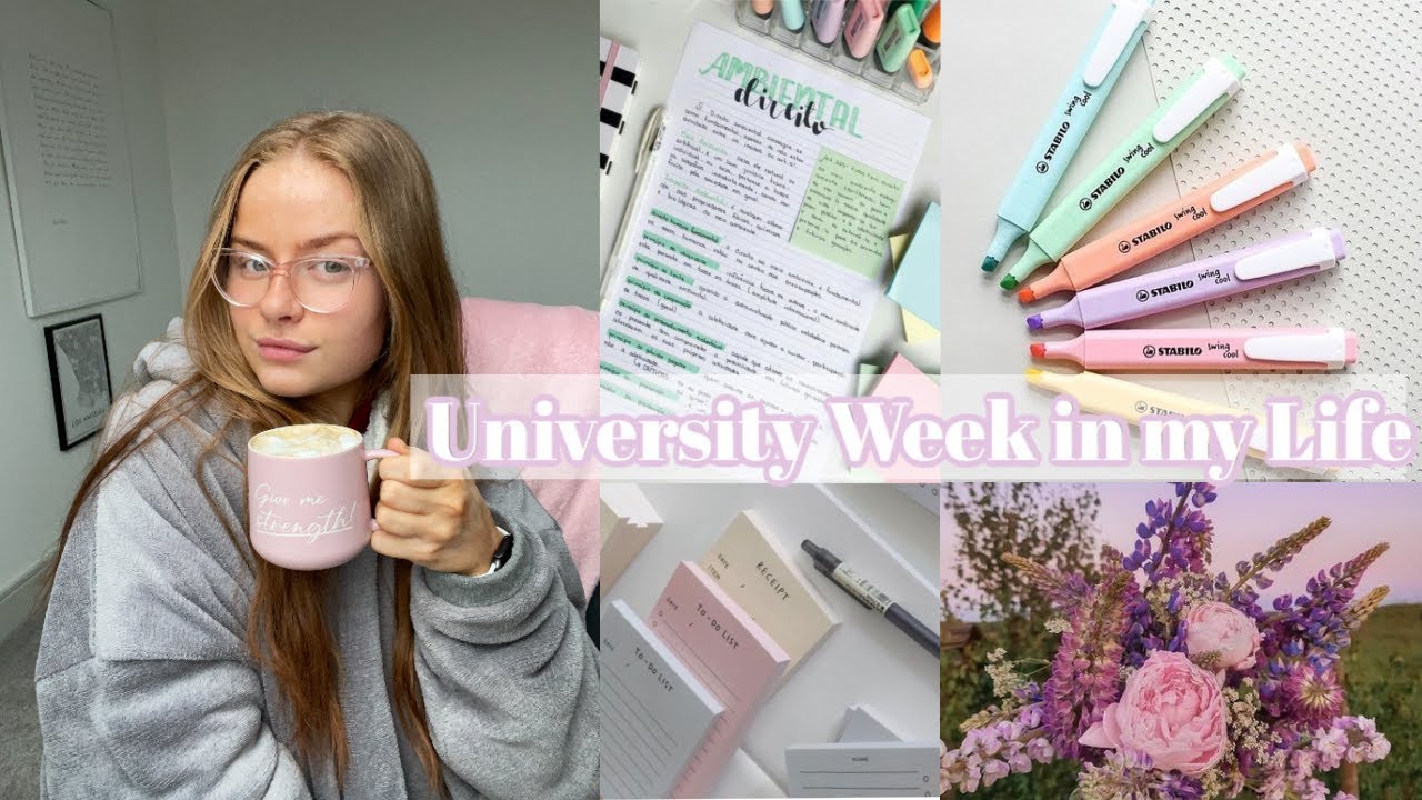 Law Student Week in My Life