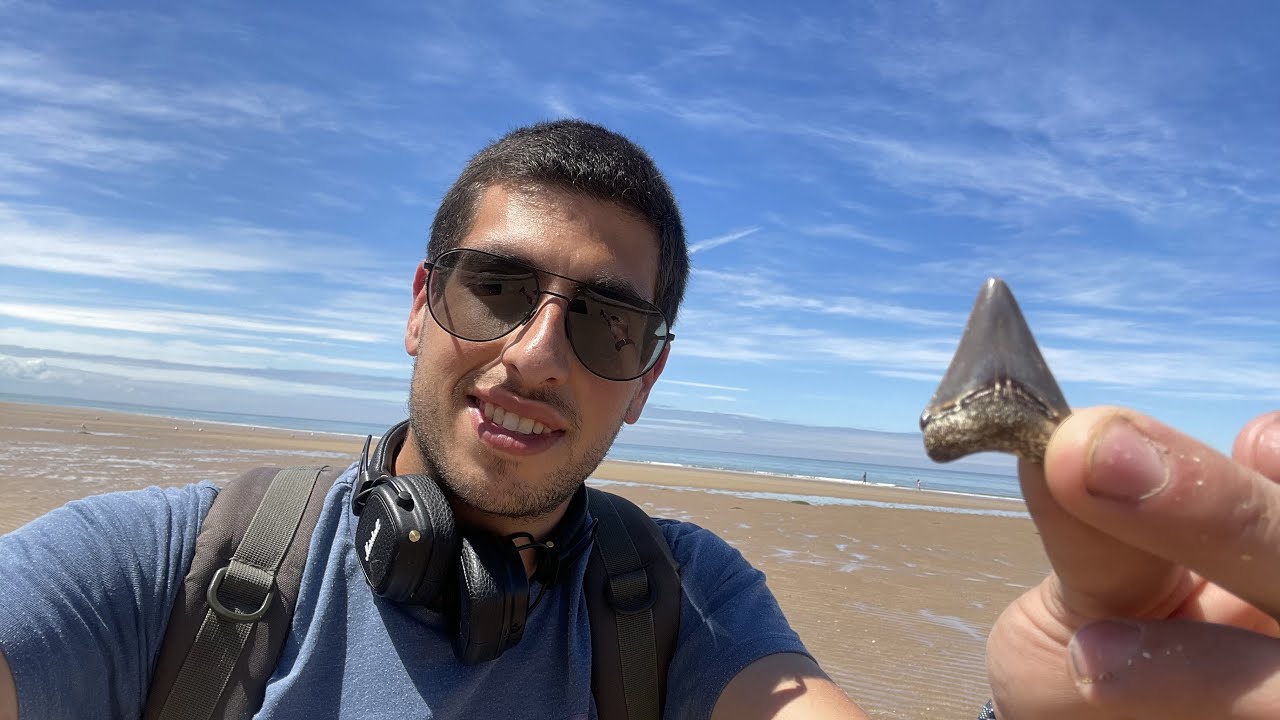 En fin ma première dent de MEGALODON