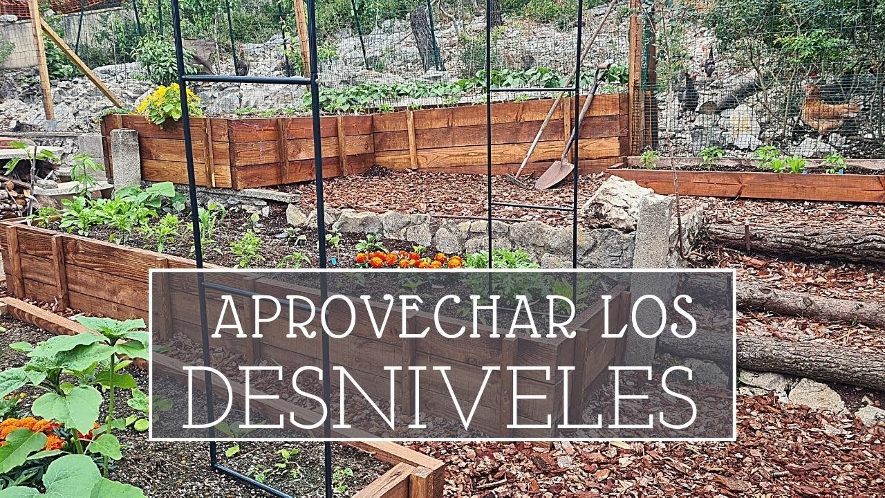 Diseño de Permacultura: cómo cultivar en desnivel