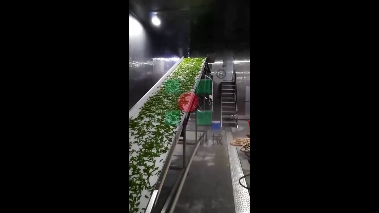 industrial blanching freezing broccoli machine/Food quick freezing vegetable washing machines