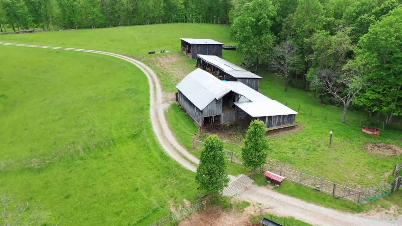 105 Trace Fork, Gandeeville, West Virginia