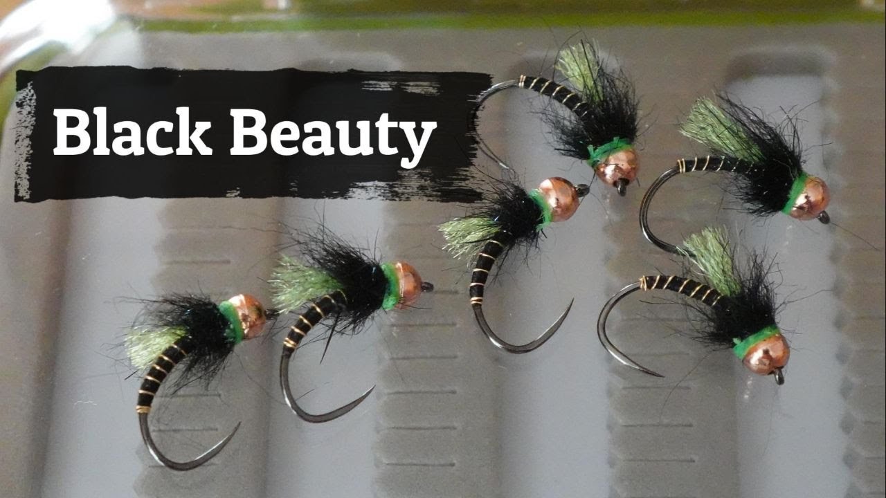 Fliegenbinden: Black Beauty, eine beschwerte Nymphe für grosse Forellen und Äschen!