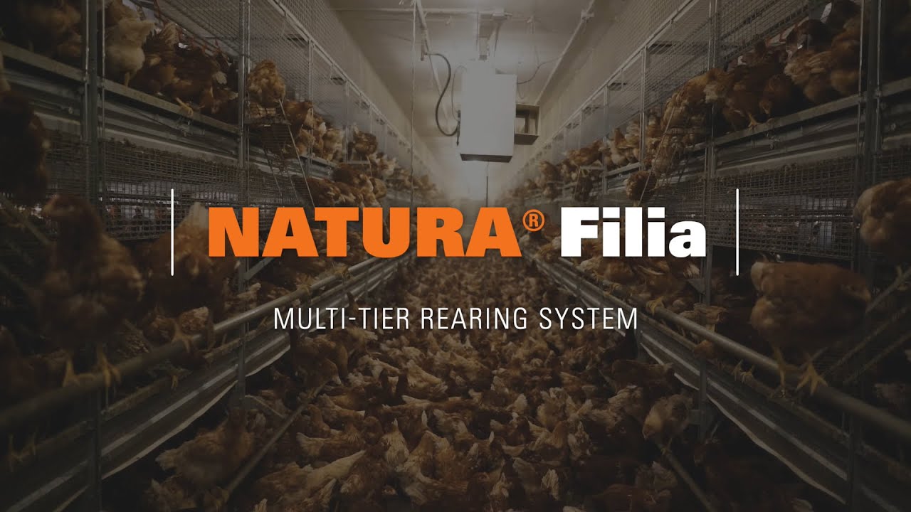 NATURA® Filia Two-tier Rearing Aviary