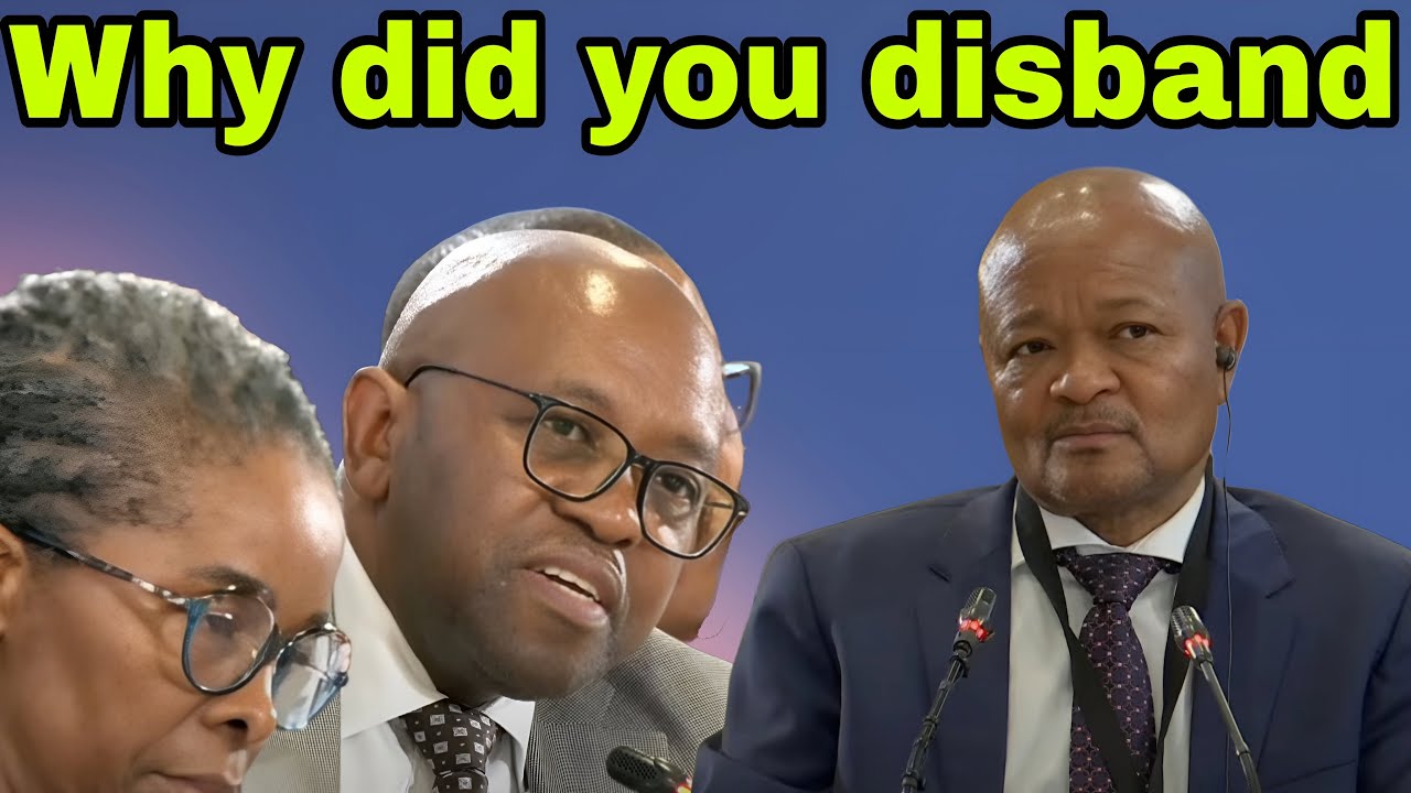 Madlanga destroys Senzo Mchunu hard about disbanding PKTT. WHY?