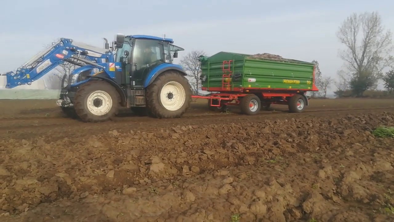 Kopanie buraczki☆New Holland t5☆ Pronar PT606☆Ursus C-360☆2k19