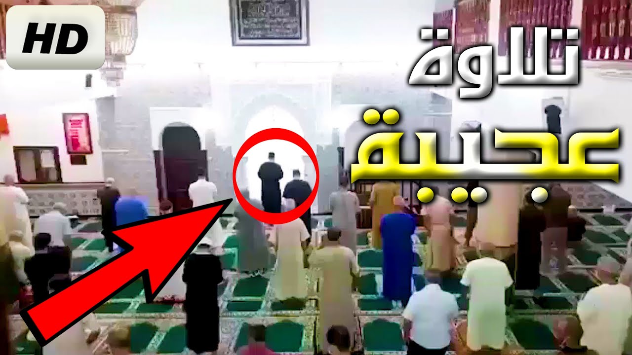 تلاوة عالمية بالأسلوب الشهير للقارئ أبوبكر الشاطري | القارئ ياسين براكني 2021 Yacine Brakni 🇩🇿