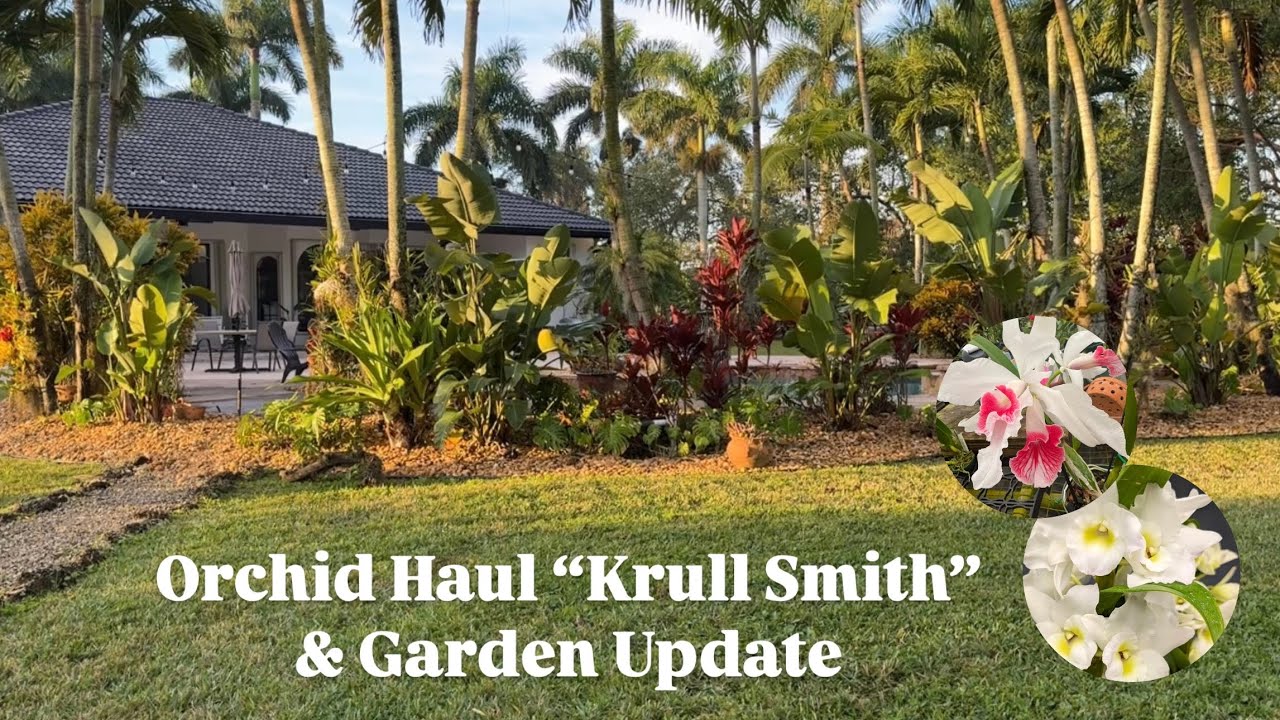Orchid Haul “Krull Smith”, Morning Walk, New Blooms & Big Changes!