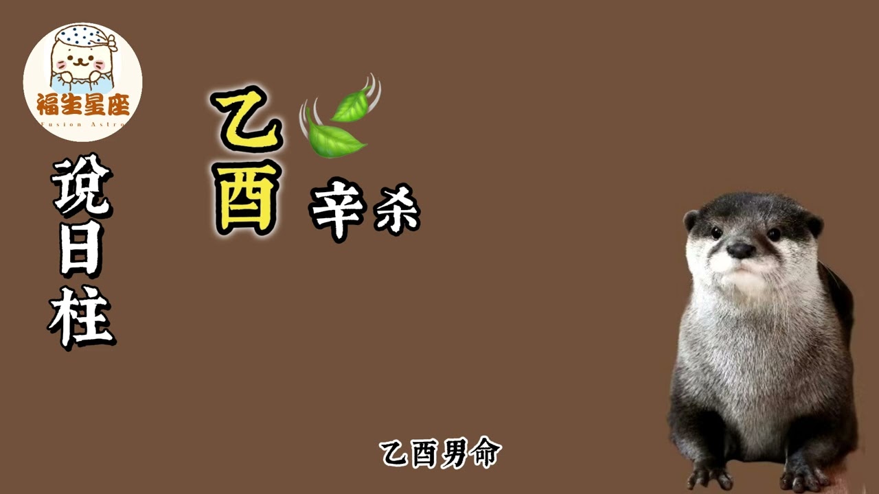 22【福生說六十日柱】乙酉日柱|解讀乙酉人的的婚戀觀與人生觀