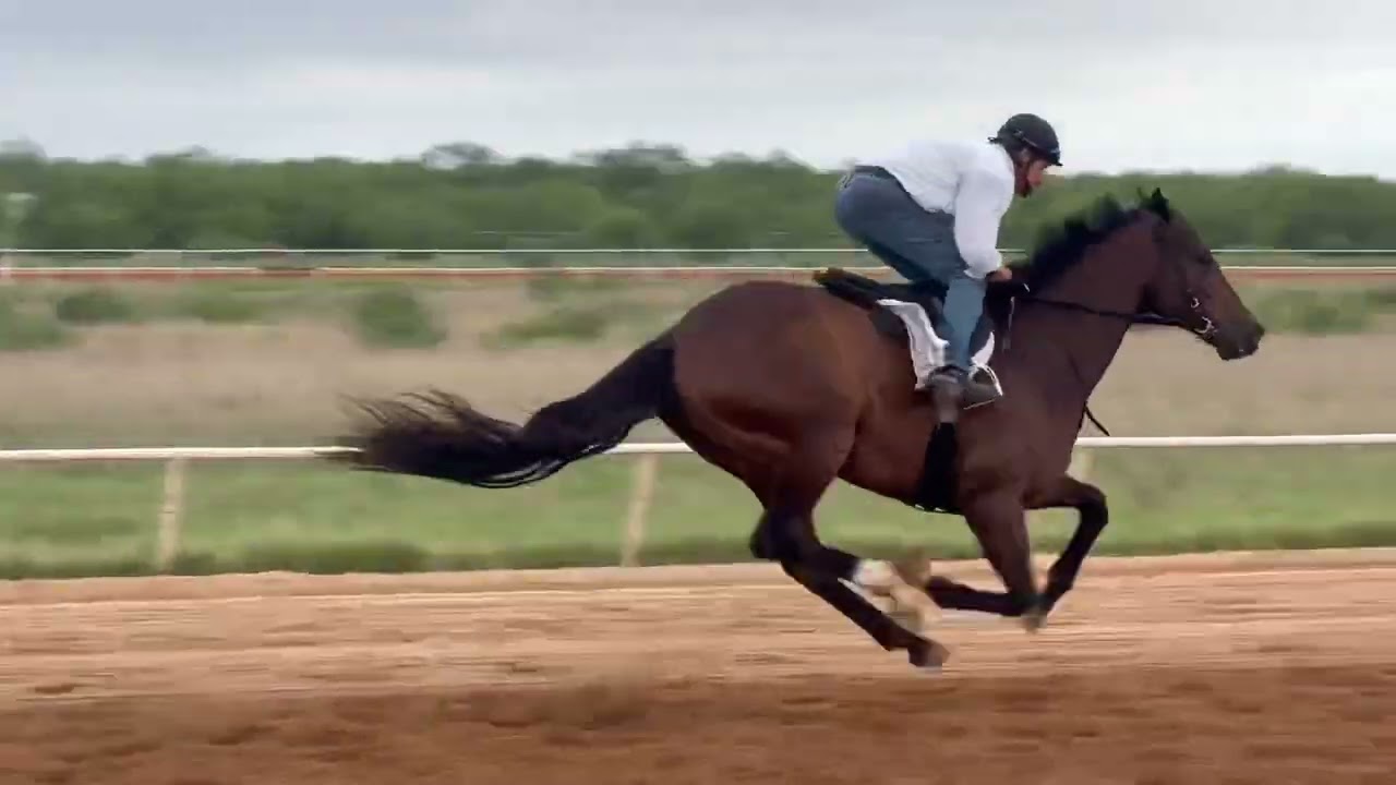 Ancient Land 5/3/23- Cash Asmussen Equine.com -