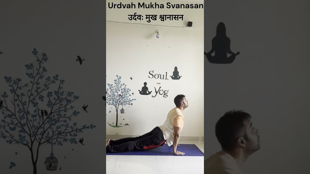 Surya Namaskar A - Ashtanga Yoga #suryanamaskar #ashtangyog #sunsalutation #health #fitness