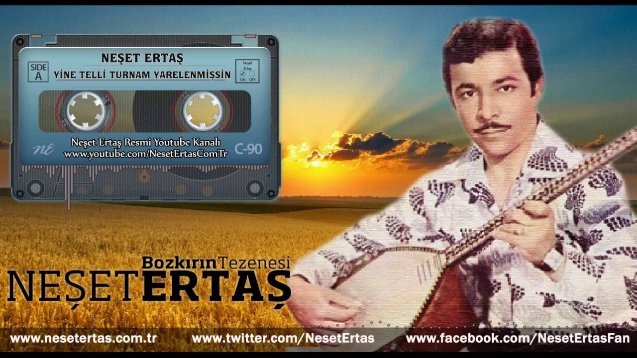 Neşet Ertaş - Yine Telli Turnam Yarelenmişsin