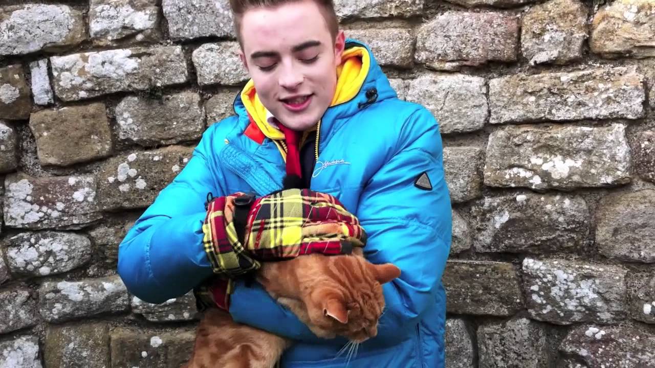JEDWARD GARFIELD CAT