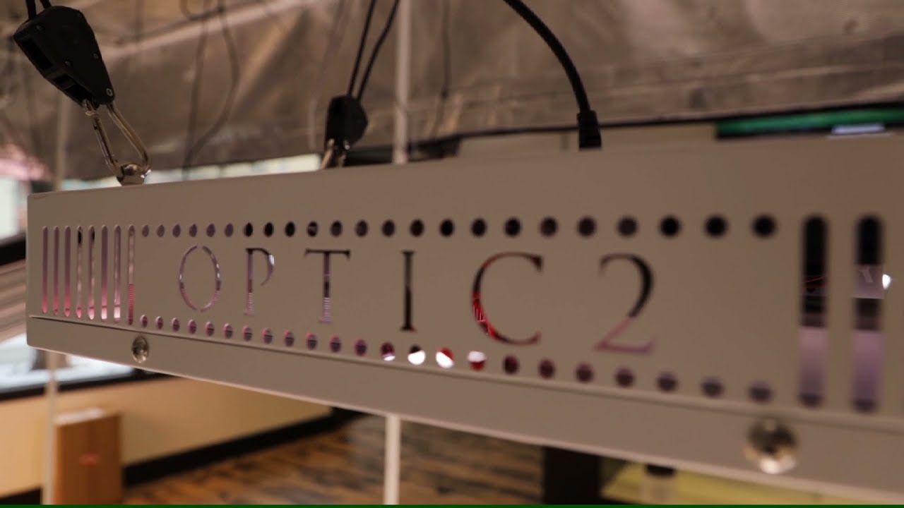 Optic 2 Gen 4 - LED Grow Light Unboxing & Review