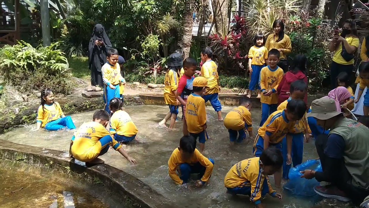 Outbound di Pandiga Cimahi Bandung, TK kancil haurpancuh sangat Meriah sekali 👍