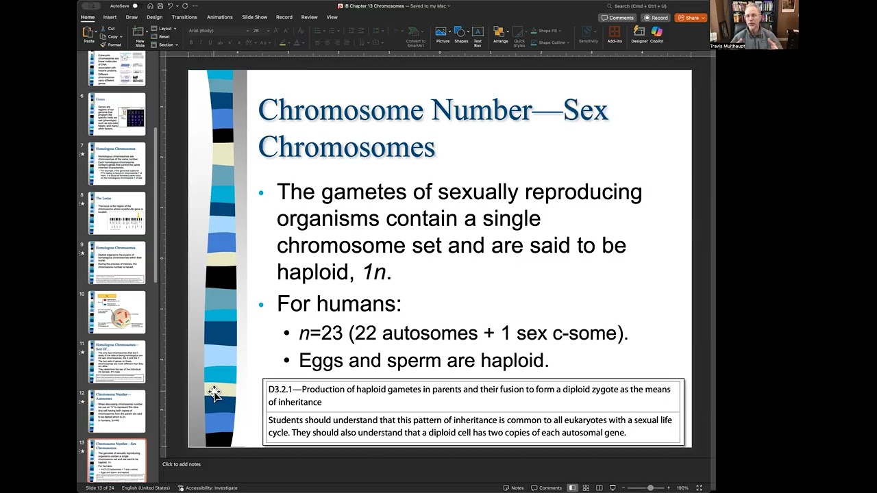 IB Meiosis Part I Chromosomes