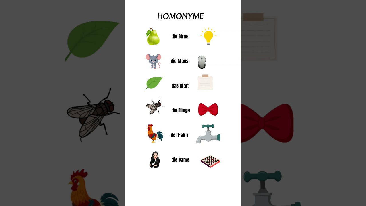 Homonyme W&ouml;rter auf Deutsch #homonyms #deutschew&ouml;rter #deutschlernen #shorts