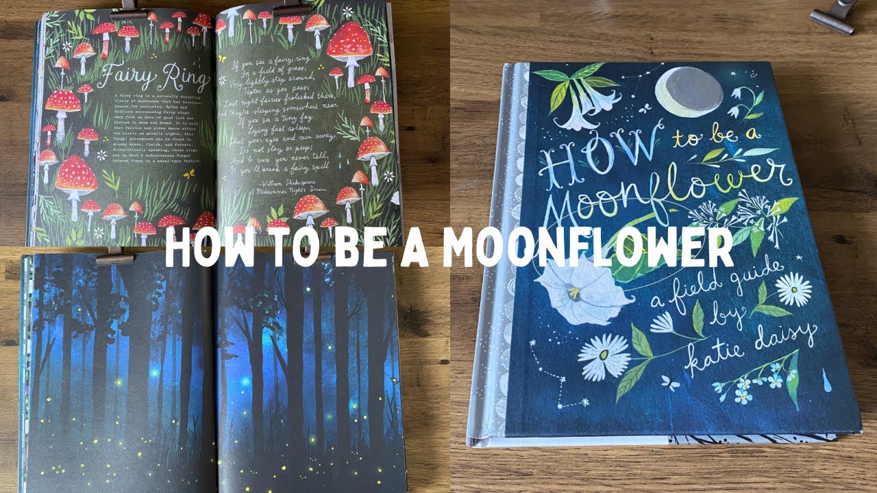 HOW TO BE A MOON FLOWER- KATIE DAISY - FULL FLIP THROUGH