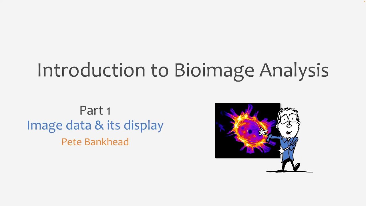 1 - Image data & its display