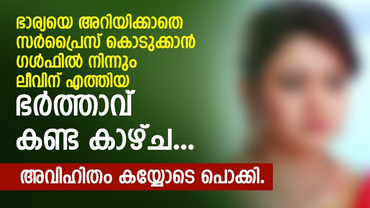ഗള്‍ഫില്‍ നിന്നും ലീവിന് എത്തിയ ഭർത്താവ് കണ്ട കാഴ്ച, അവിഹിതം കയ്യോടെ പൊക്കി | PRANAYAMAZHA STORY