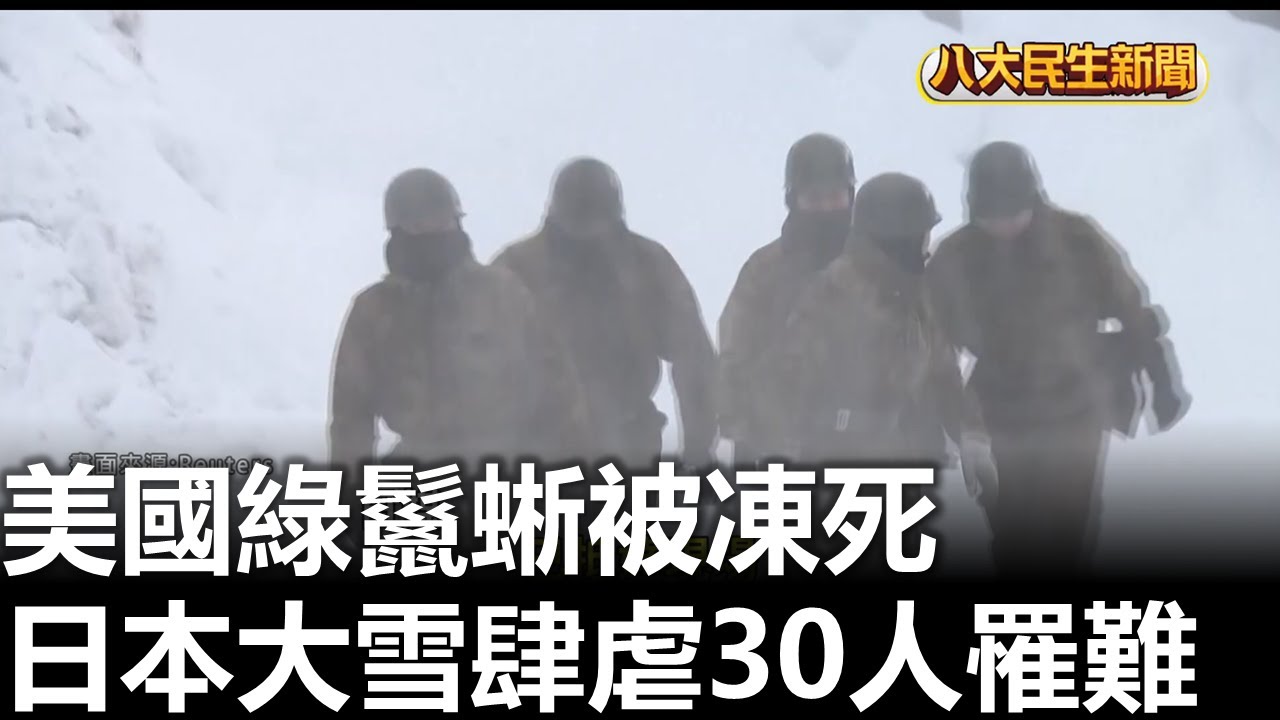 美國綠鬣蜥被凍死◎日本大雪  2026020411
