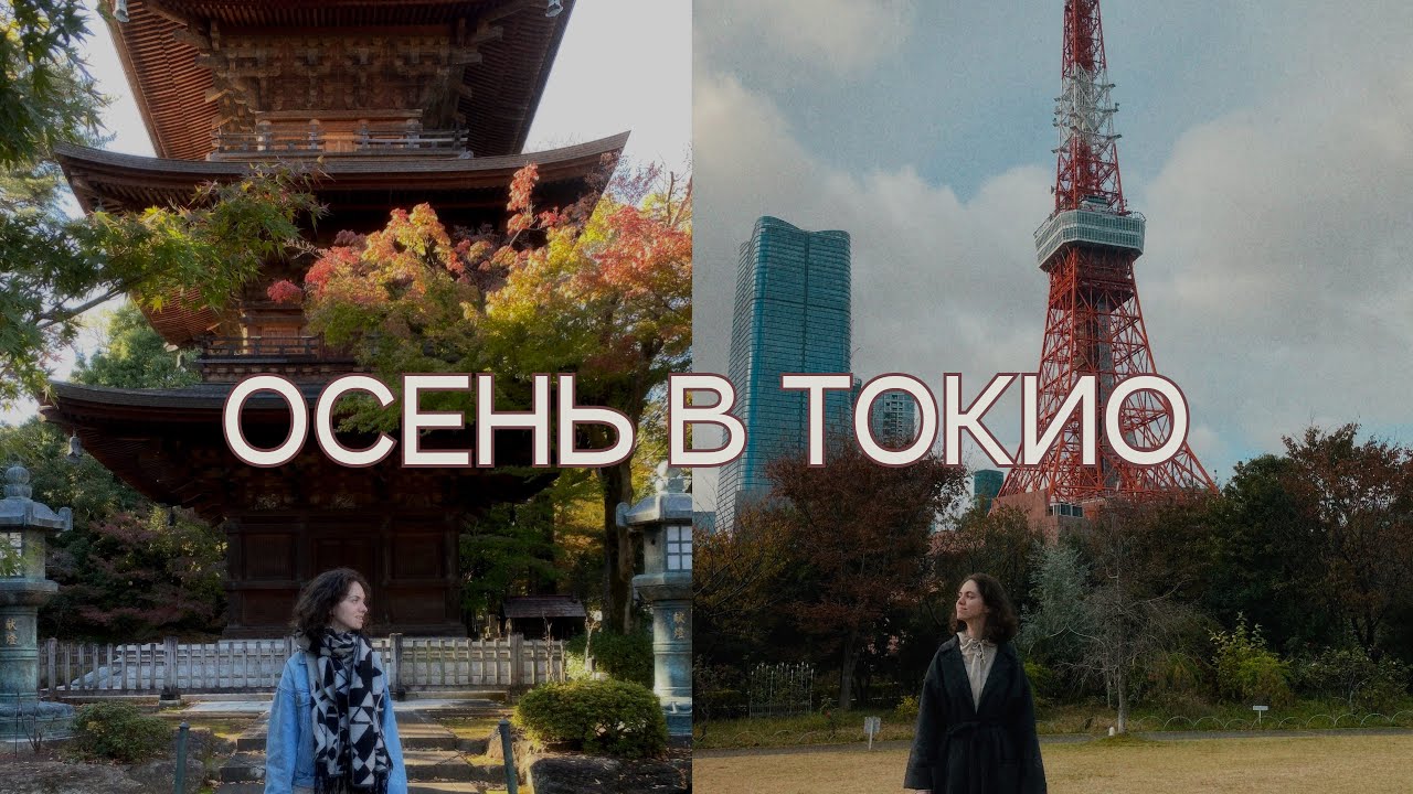 47. зумеры в осеннем токио - влог