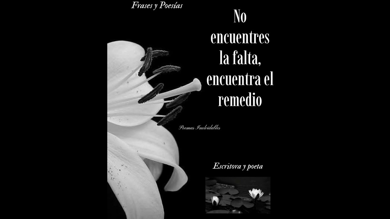 Frases trending #shorts #Youtube #tendencia #fypシ゚viralシ #viralreelschallenge #viralreelsシ 