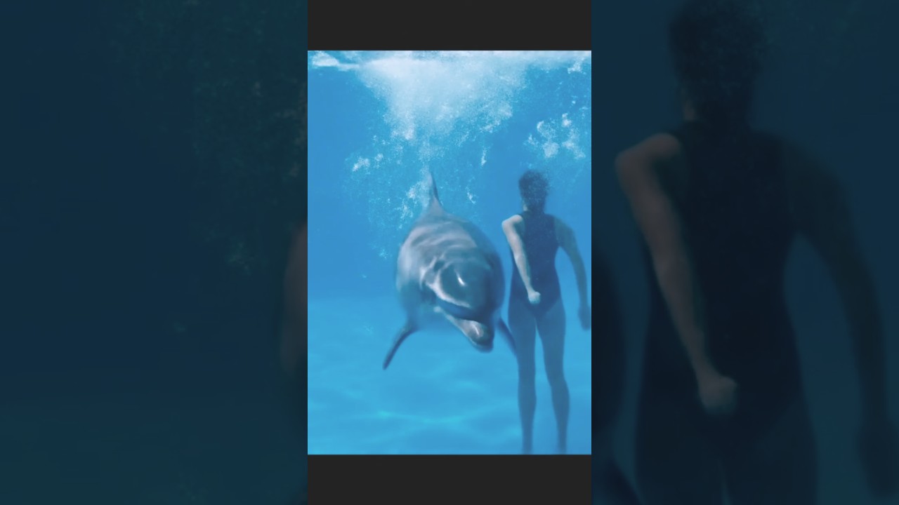 #orcas