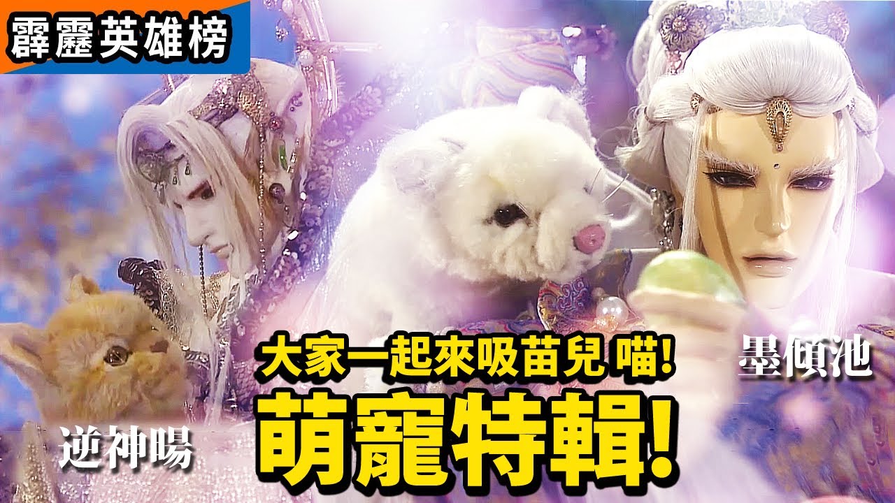 霹靂英雄榜 : 萌寵特輯 ! 大家一起來吸喵 !! ｜逆神暘 & 苗兒｜墨傾池 & 雪兒｜北狗最光陰 &小蜜桃｜玉傾歡& 咪吱｜紅塵雪 & 盧小小｜霹靂布袋戲